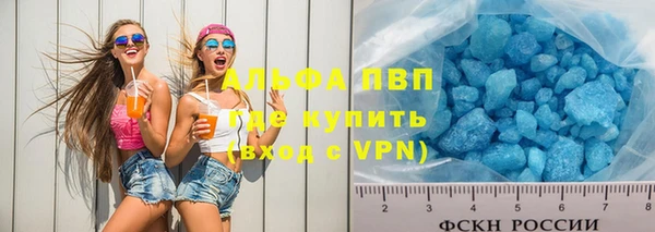 дживик Вязьма