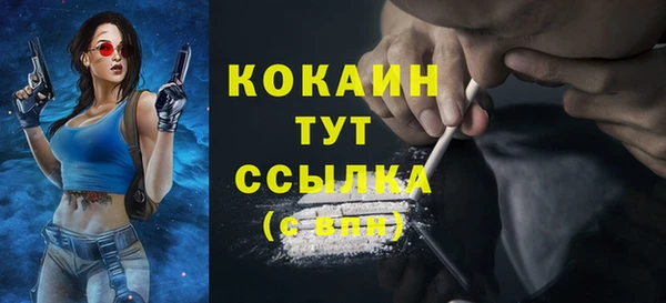 спайс Жердевка