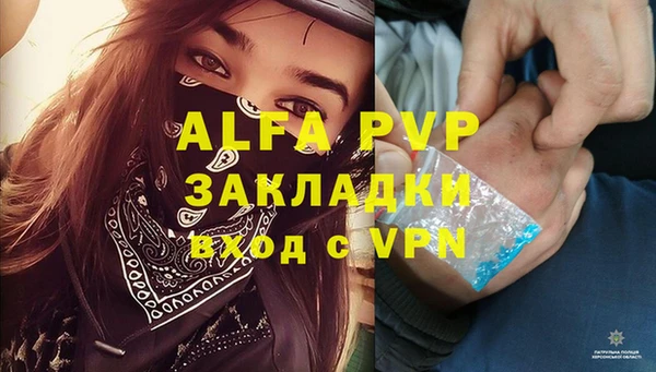 дживик Вязьма